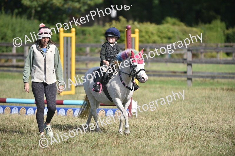 20260906-0968 - Class 7 - Absolute Novice Jumping 35cm