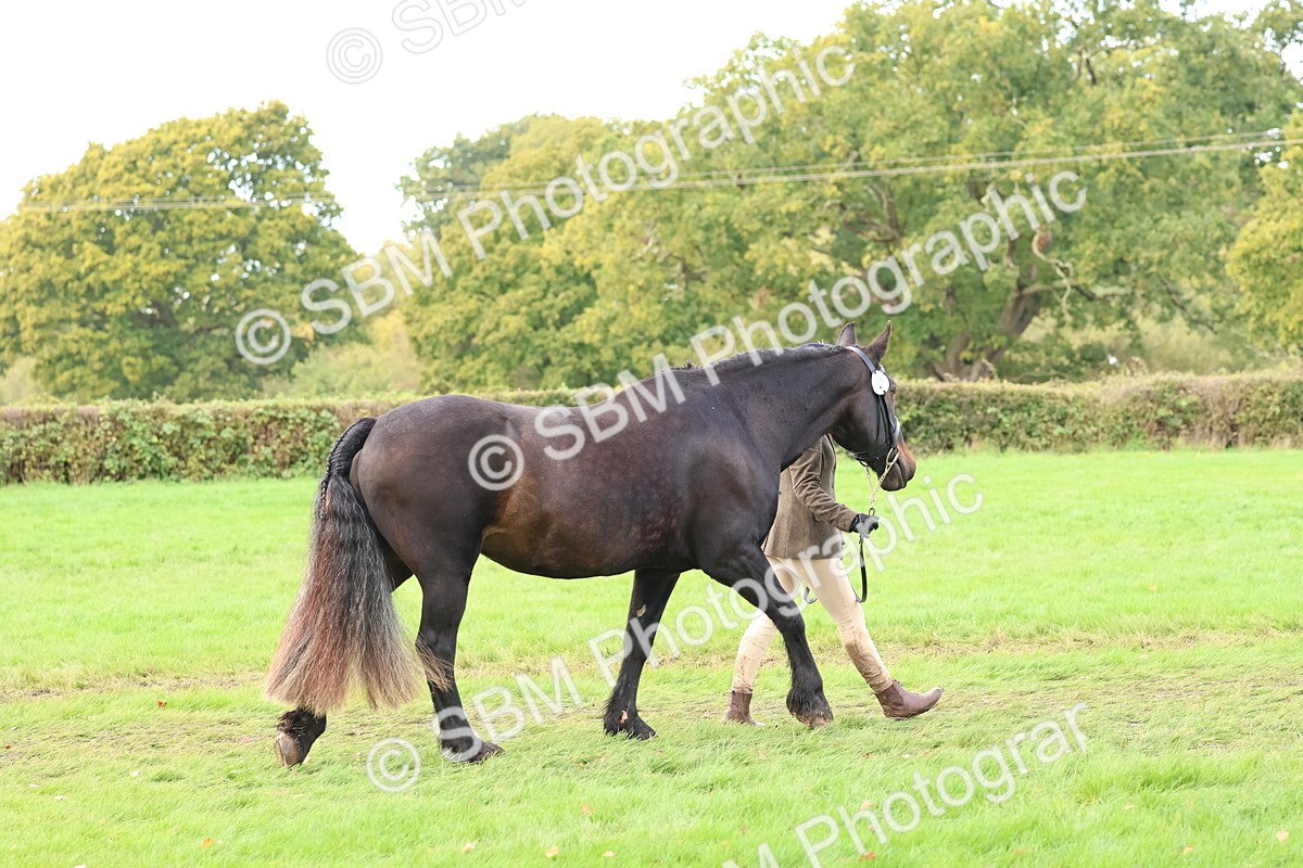 SBM_40708 - S25 -  Veteran In Hand
