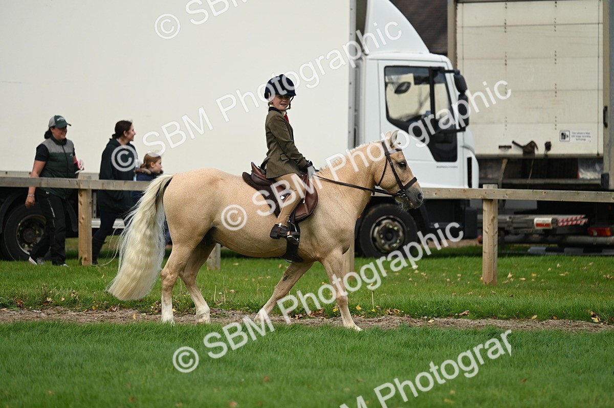SBM_26537 - S7 - Novice & Newcomer Ridden Pony