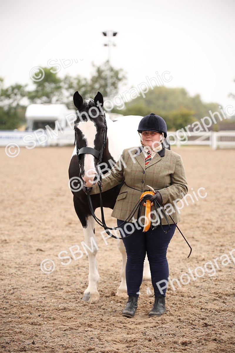 SBM_20227 - Class 703 - IH  Coloured