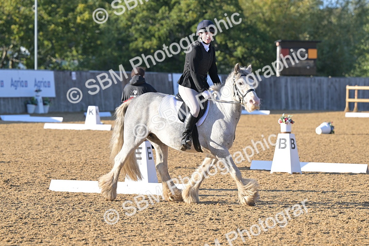 SBM_13121 - D3 - Small Tour Championship Intro 3