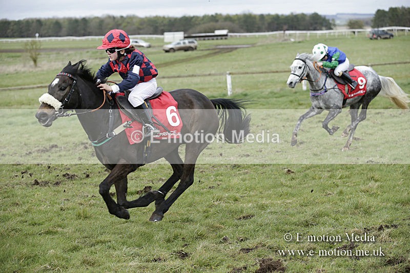 PtP 150320 0771 - New Forest Point-to-Point Larkhill 15/03/20