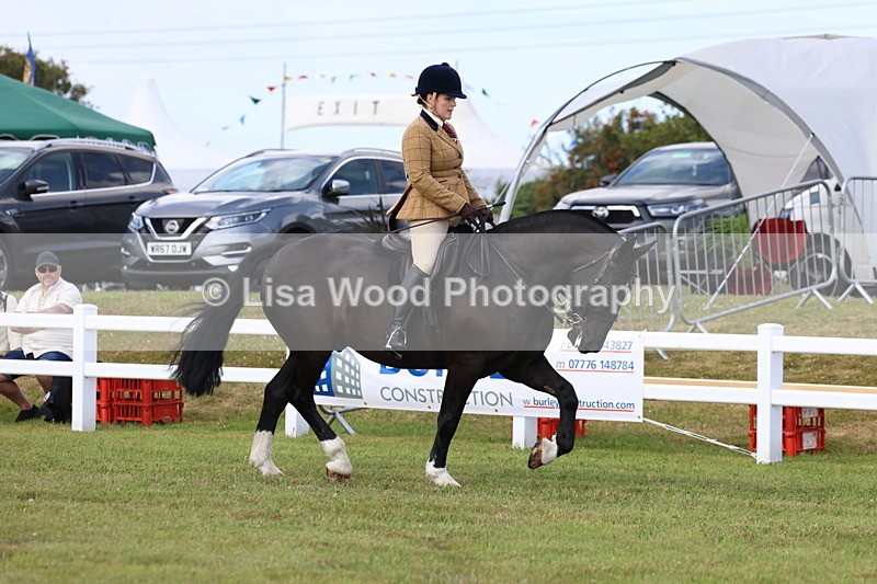 3E7A9672 - Class 5: Rising Star Lightweight/Heavyweight Cobs