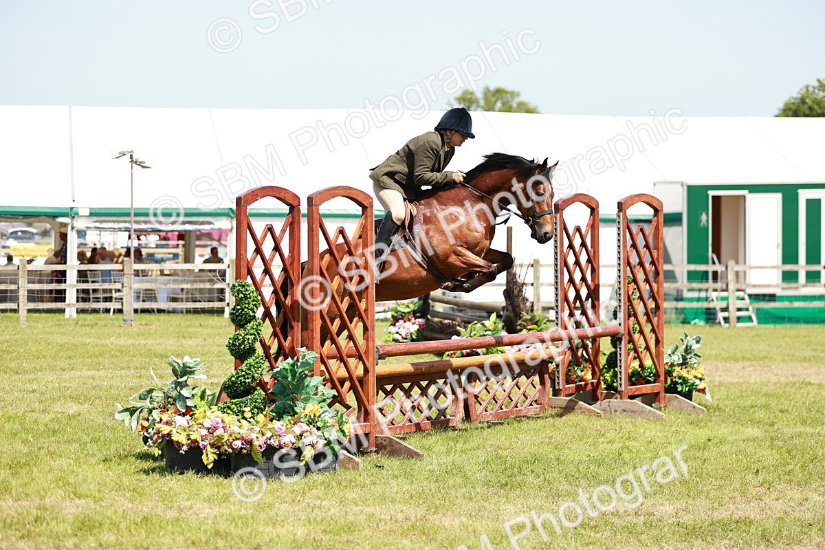 SBM_17353 - Class 110-111 - Training Stakes (70cms 80cms)