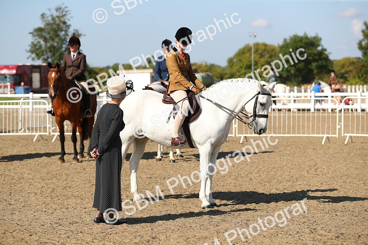 SBM_02299 - Class 43 Ridden Competition Horse/Pony