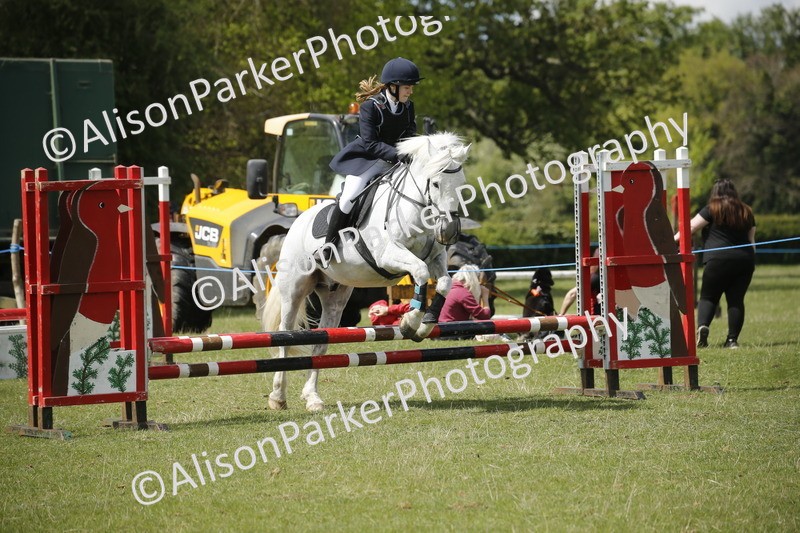 20250427-3741 - Class 14 - Absolute Novice 70cm