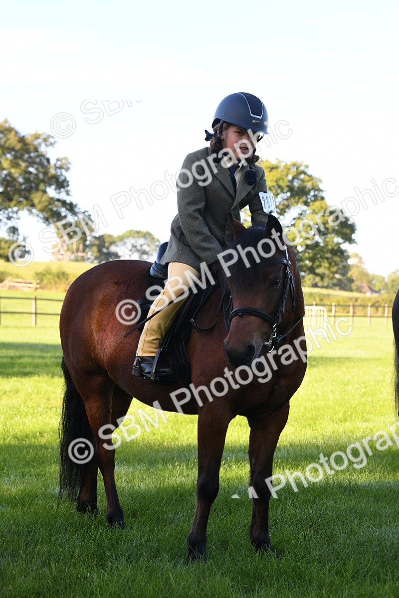 SBM_34064 - S16 - Condition & Turnout - Ridden