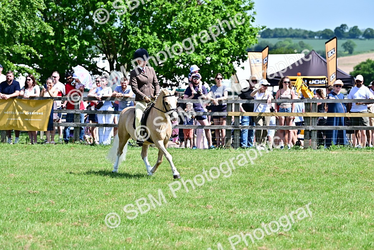 SBM_15281 - Class 95-97 - BSPS LHS Performance Ponies
