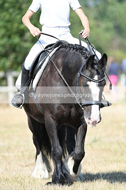 WJ7_9588 - Time 10:32 to 10:55