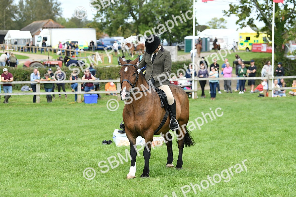SBM_46866 - S12 - Family Horse & Pony