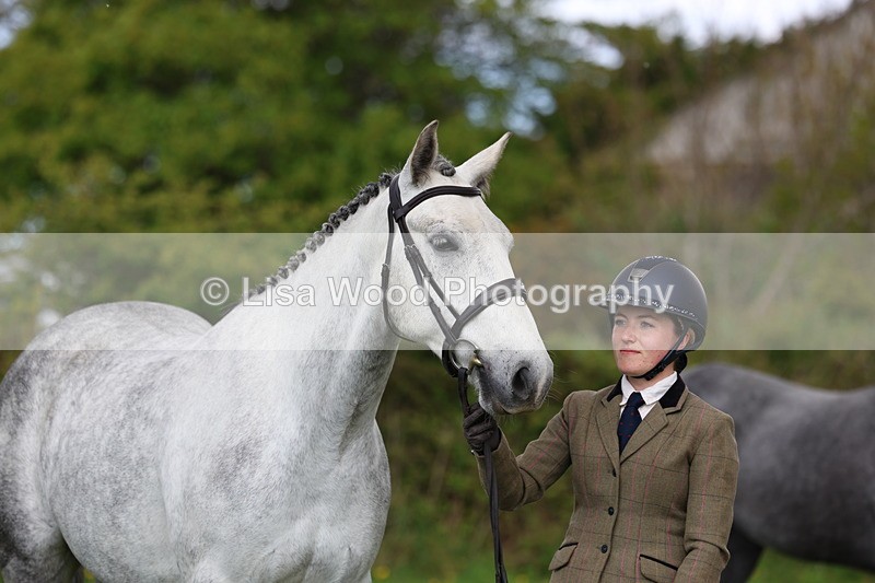 3E7A0552 - Class 20: Sports Horse