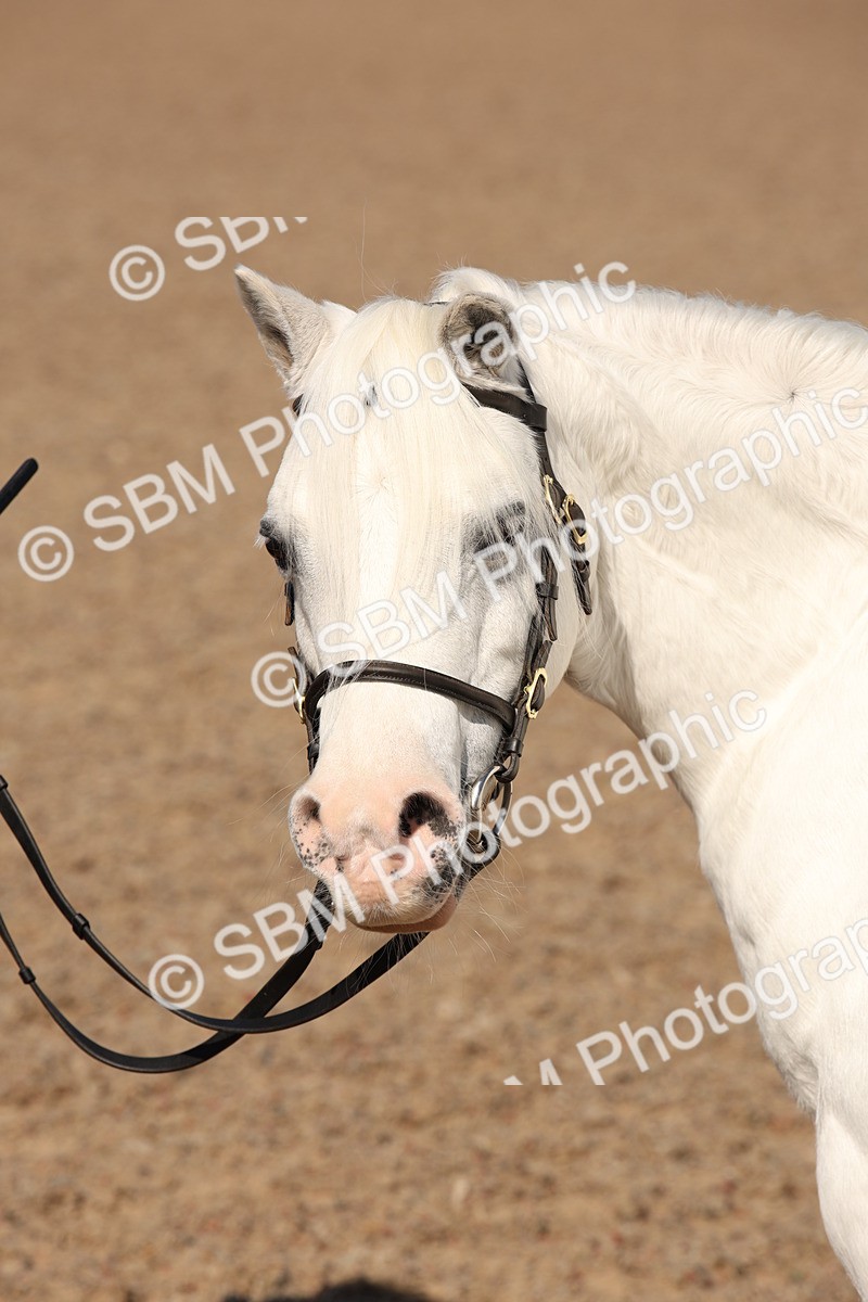 SBM_02804 - Class 16 IH M&M Wildcard