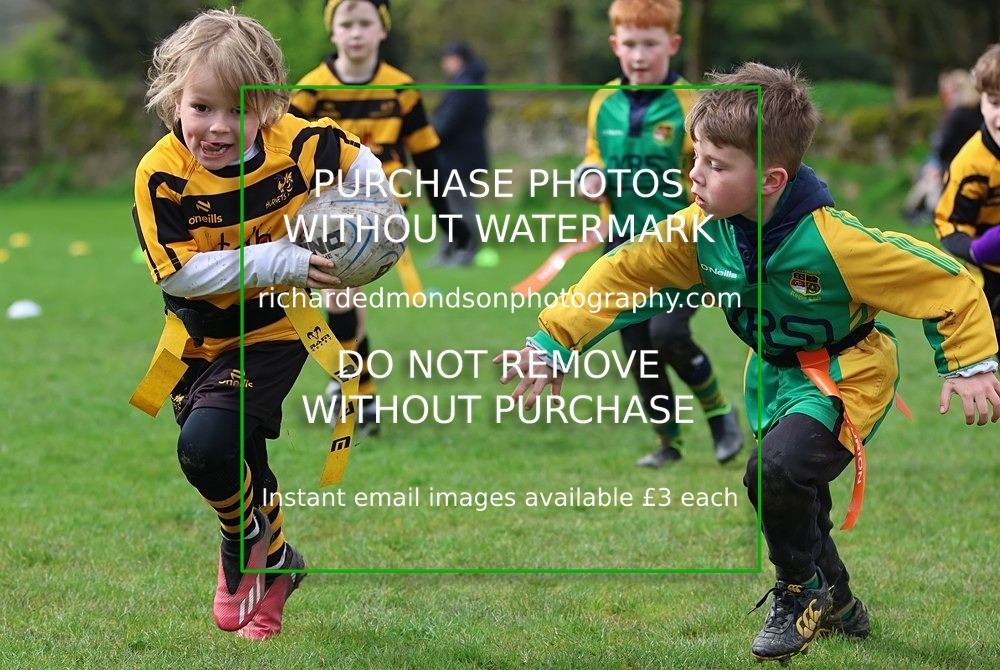 533A5295 - Kendal Rugby Under 7's (12/4/26)