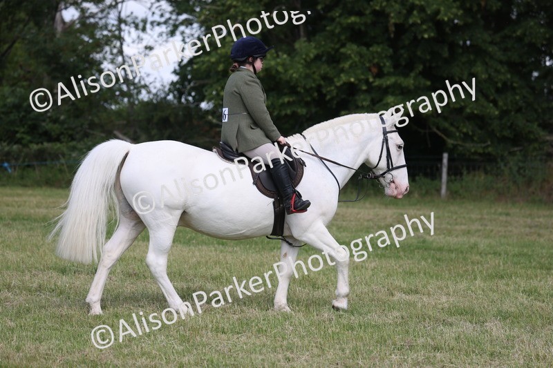 20260614-0804 - Class 20 - Beginners Working Hunter Pony