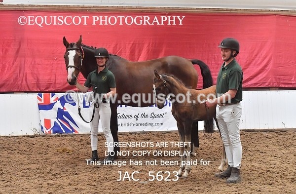 JAC_5623 - 13 Zi Real McCoy