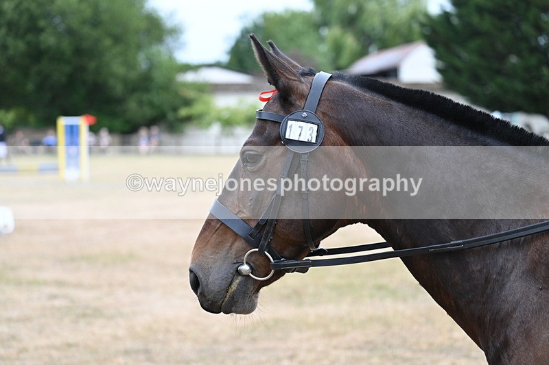 WJ7_1352 - Class 8 Ridden Veterans