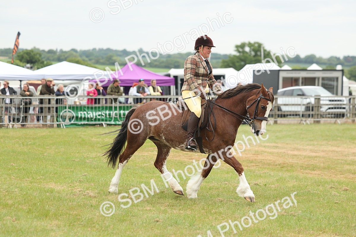 SBM_07198 - Class 76-77 - Ridden M&M Welsh Ponies