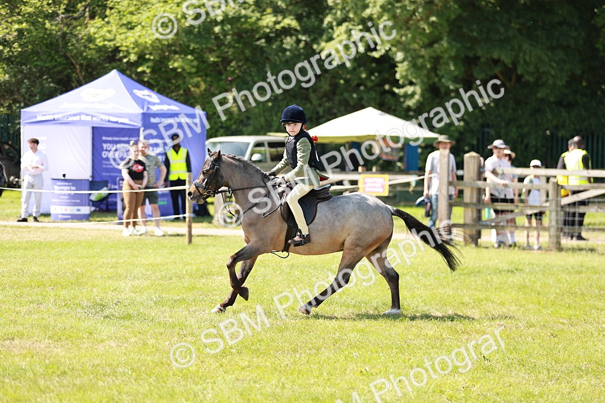 SBM_13491 - Class 108-109 - BSPS LIHS Open Gradle & Nursery Stakes