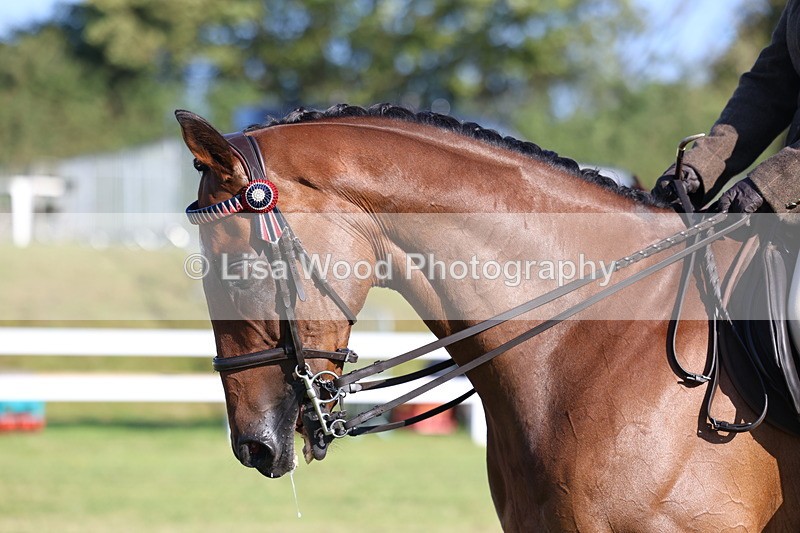 3E7A5101 - Class 1: Rising Star Small Hack/Riding Horses