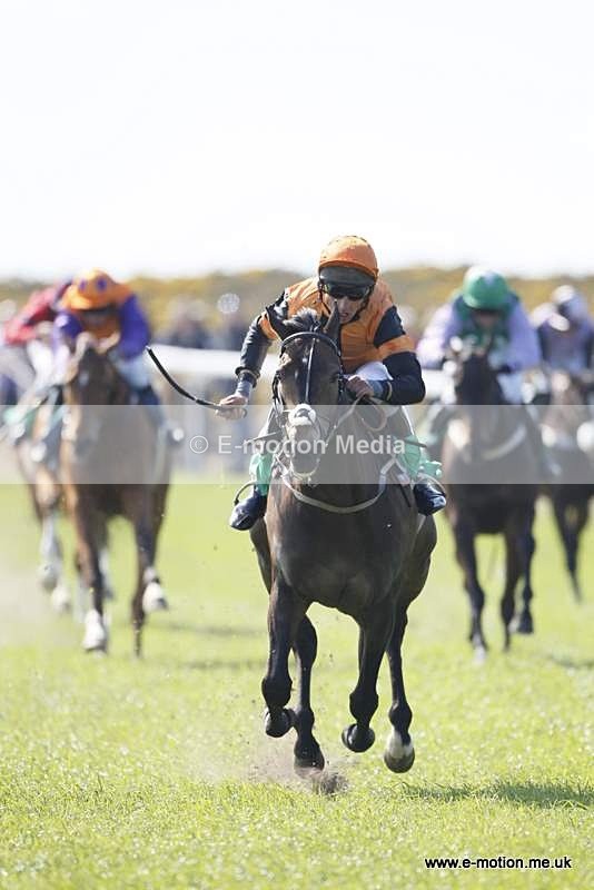  GRD 030510 162 - Guernsey Race Day 03/05/10