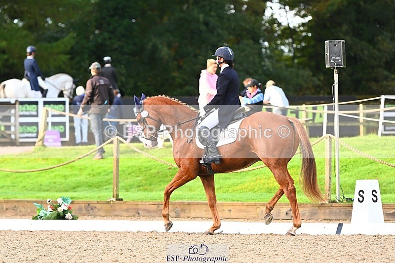 231021-090222-12743 - 322-BALLYBOLGER.LIONMAN-Sarah.Perry-DR