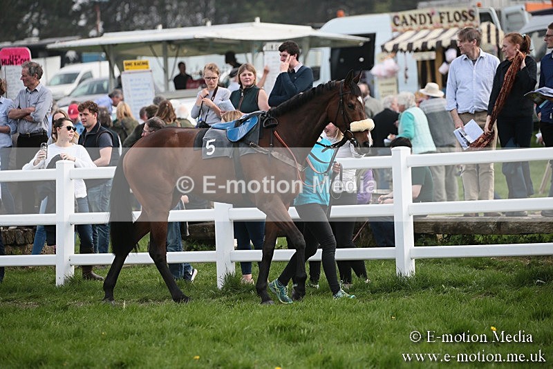 PtP 210418 307 - South & West Wilts Point-to-Point Larkhill 21/04/18