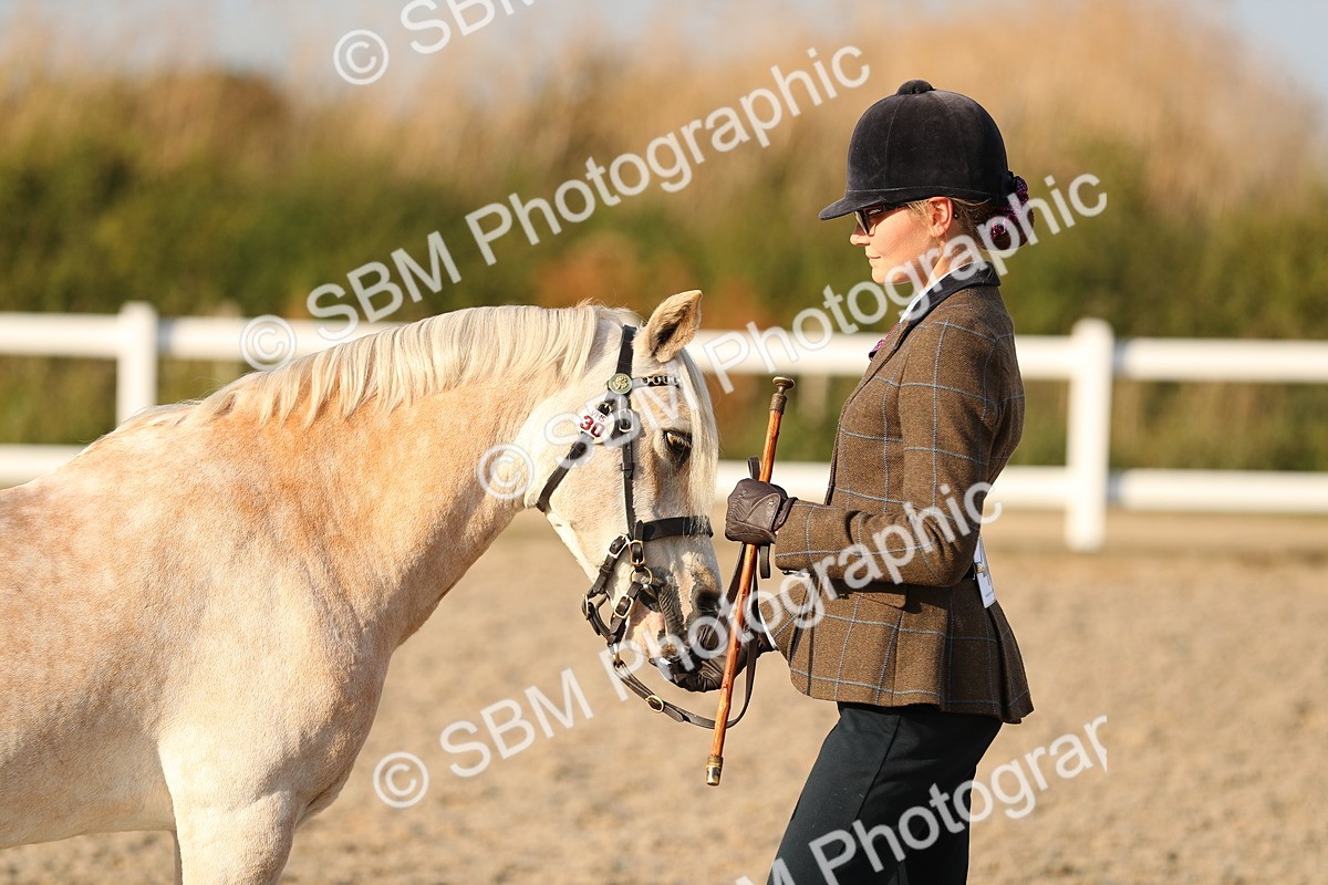 SBM_09064 - Class 29 IH Veteran Pony