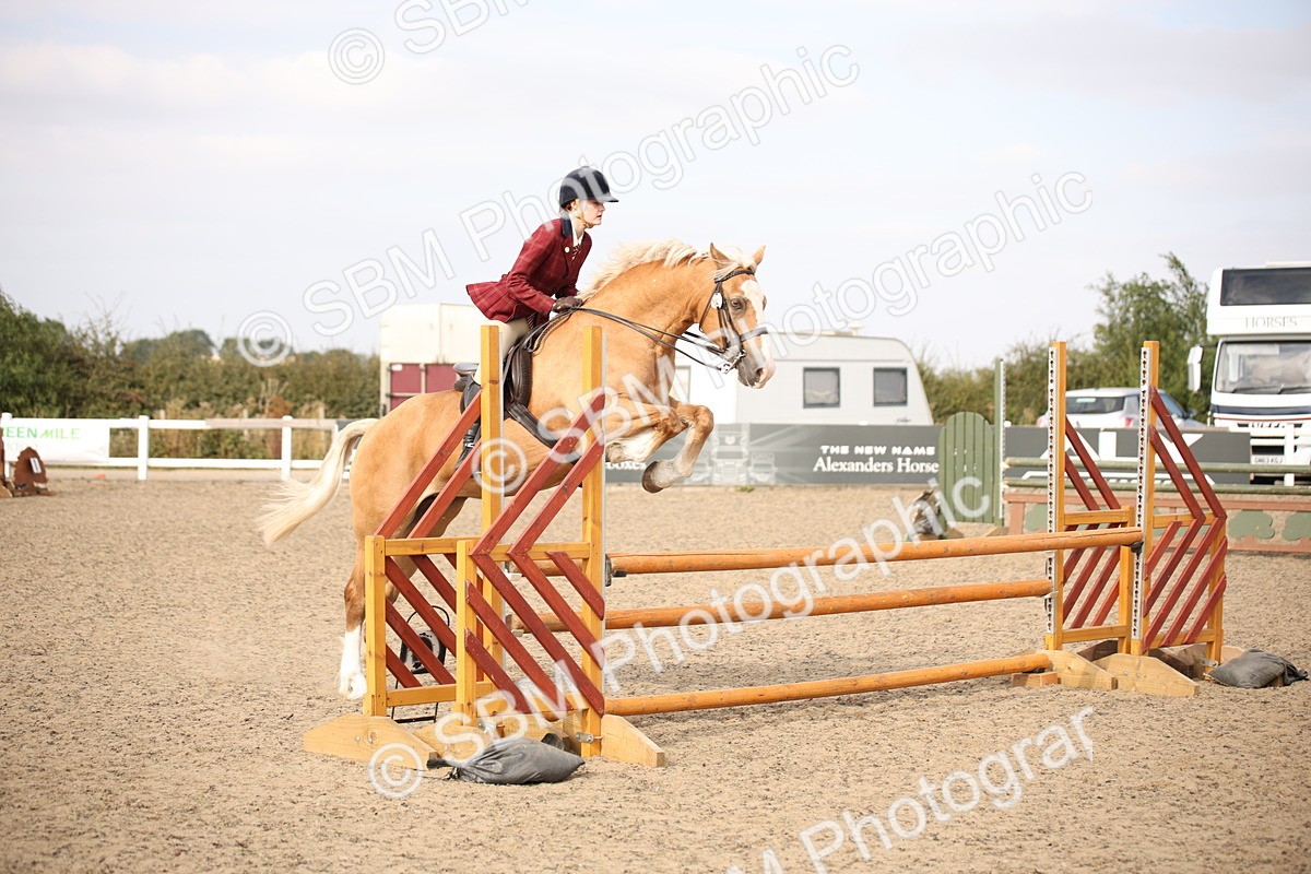 SBM_17259 - Class 410a - Wor5king Veteran 90cm (15-19)