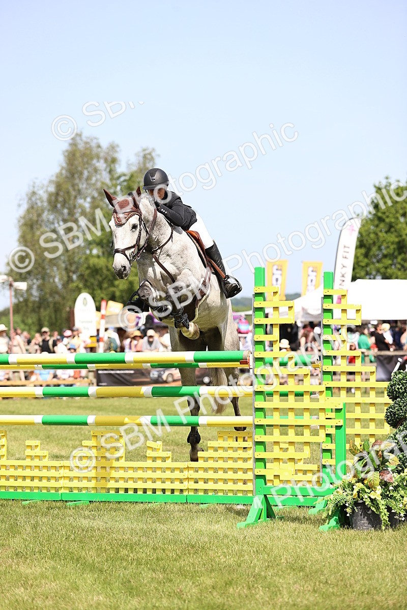 SBM_03999 - Class 201 - British Horse Feedds Speedi Beet HOYS Grade C