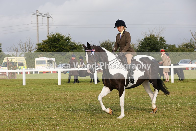 1X9A2892 - Class 25: Ridden Plaited Coloured Horse