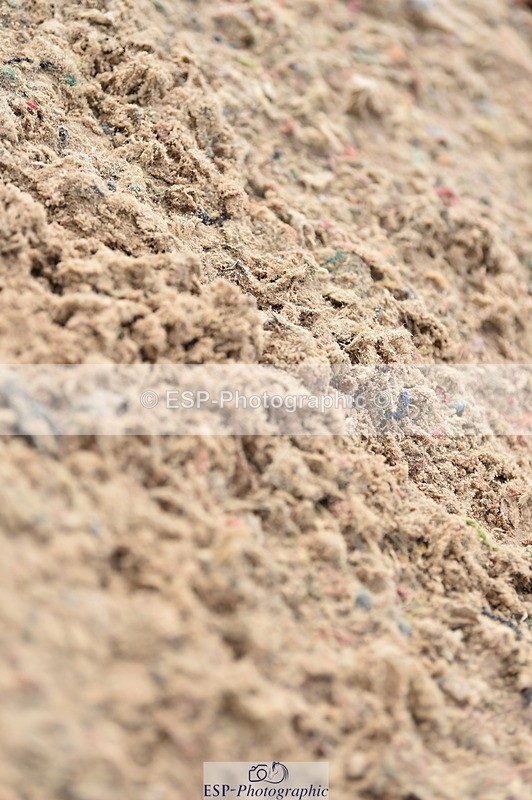 231013A-120216-01551 - Cls 2 95cm Amateur Quali