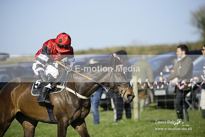 PtP 190322 773 - Wilton Hunt PtP Milborne St Andrew 19/03/22