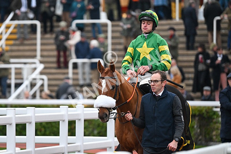 151124-Race 6-Paddock-Belgoprince-8834 - Race 6