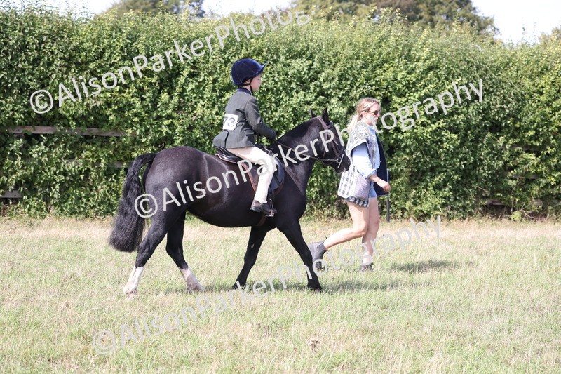 20260906-2586 - Class 18 - Childs First Pony