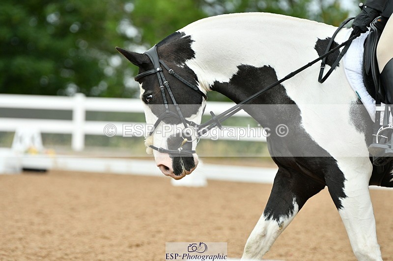 230701A-101151-04696 - Cls 4 Novice 23