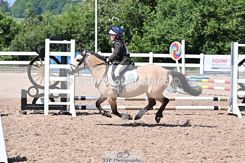 250517-120302-01077 - 40cm