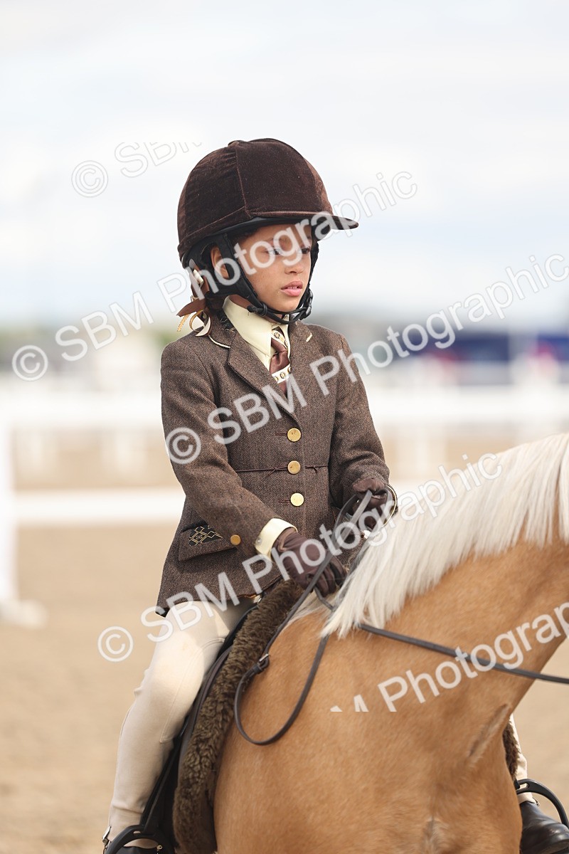 SBM_15822 - Class 309 - Lead Rein Pony