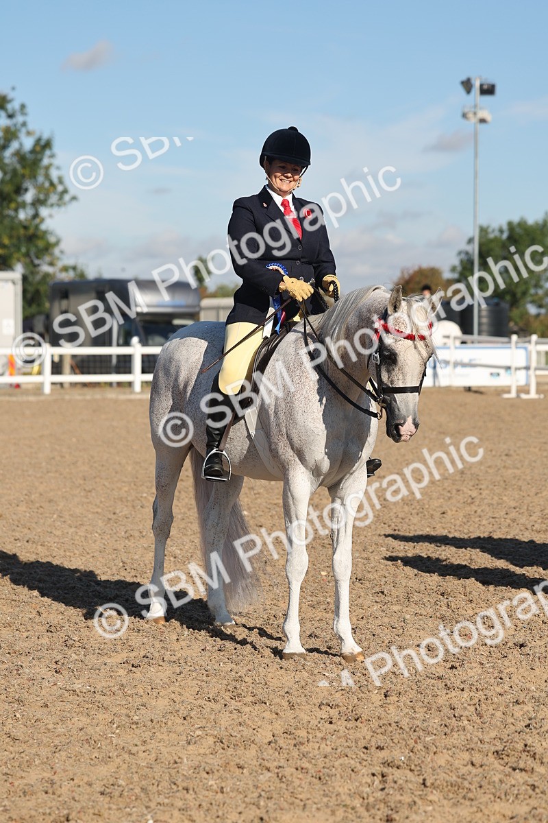 SBM_12249 - Class 303 - Ridden Pure Bred Horse Pony