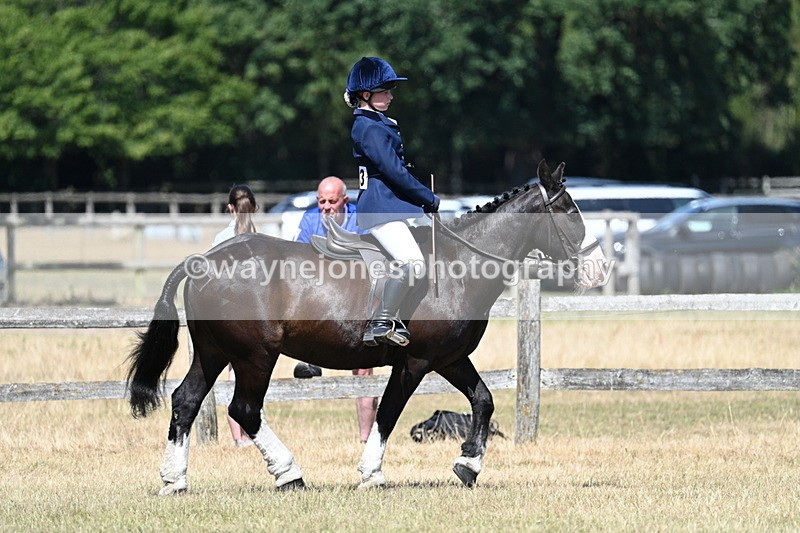 WJ7_3678 - Class 8 Ridden Veterans