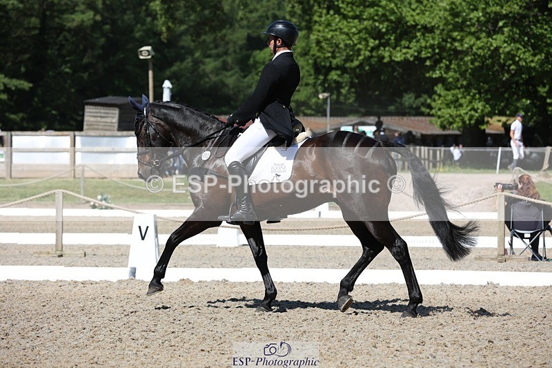 230526-103205-05281 - 362-SPIRIT'S_GEMINI-Harry_Dzenis-WEDTrotUp+DR