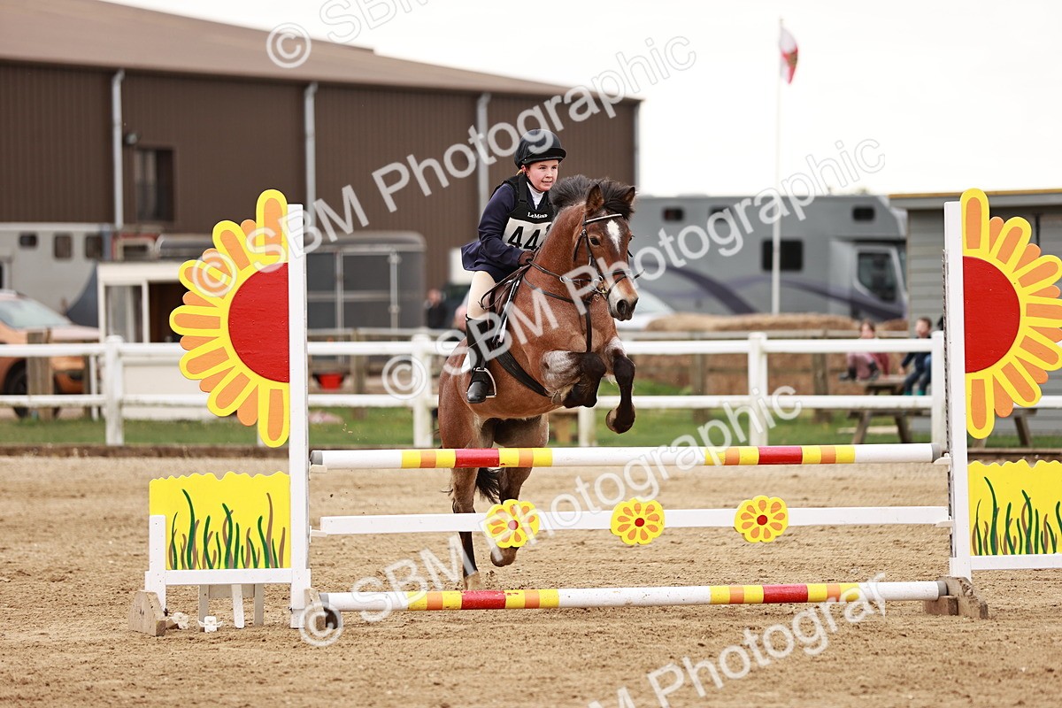 SBM_008905 - Class 5 - 80cm