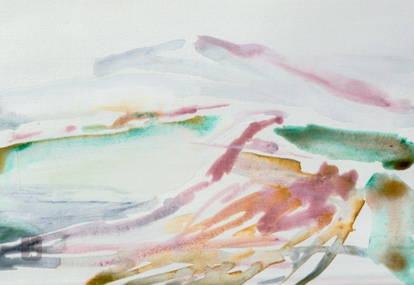 Icy Mist on the field - Letter from Home