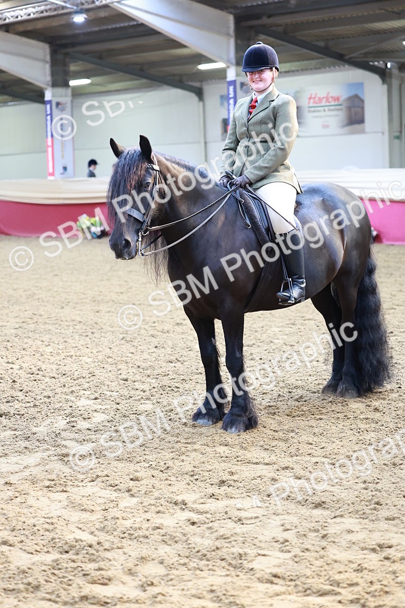 SBM_11974 - Class 102 - Equitation (Best Rider) Adult