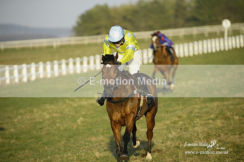 PtP 270222 707 - South & West Wilts Point-to-Point Larkhill 27/02/22