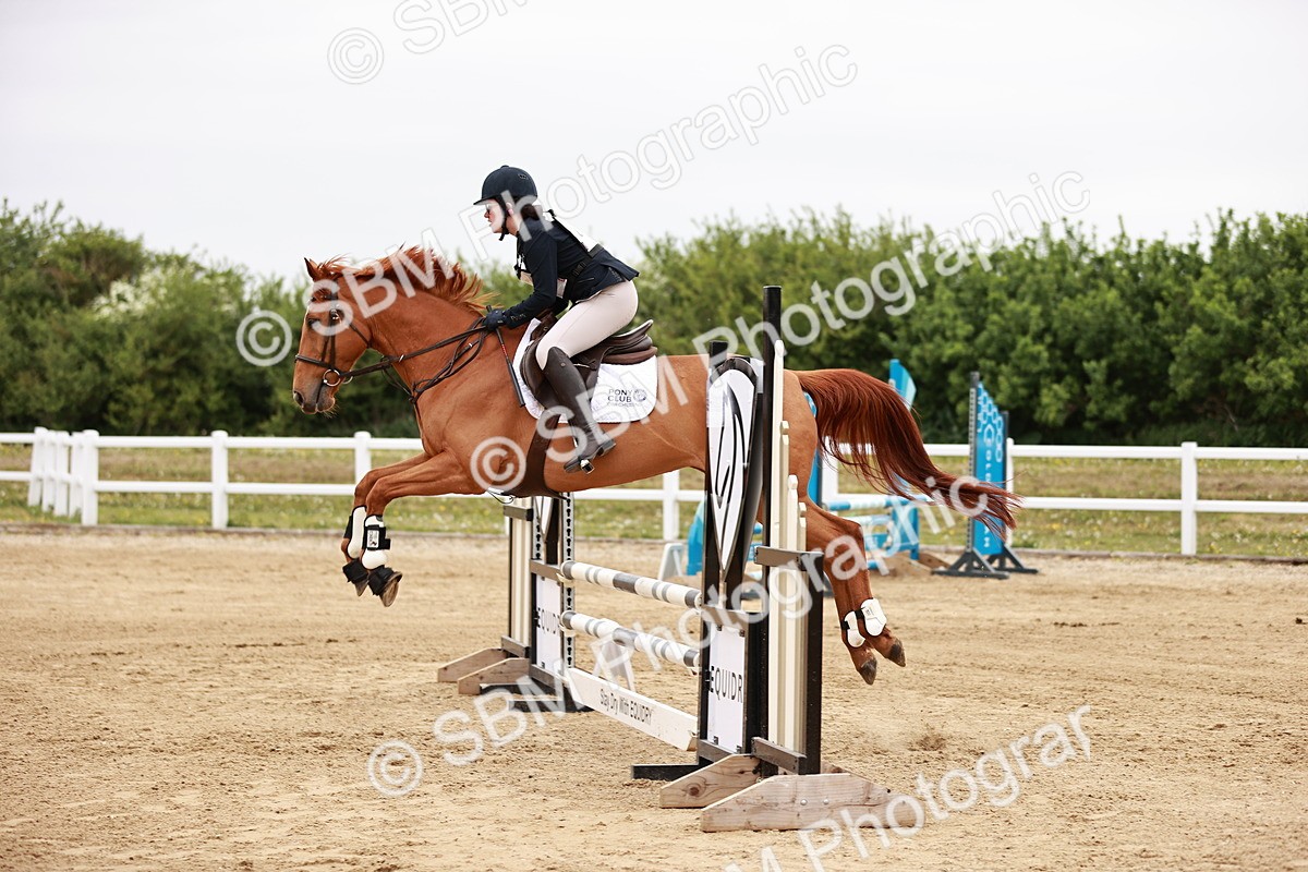 SBM_008972 - Class 5 - 80cm