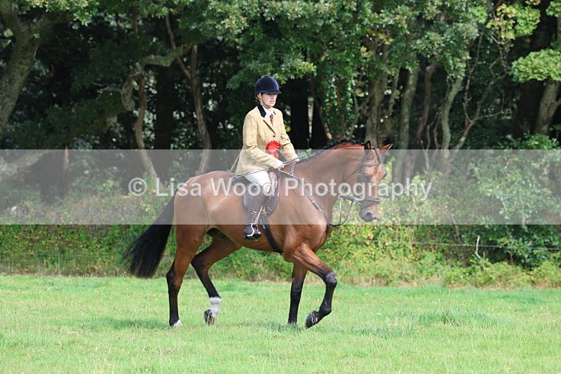 3E7A6051 - Working Hunter Championship