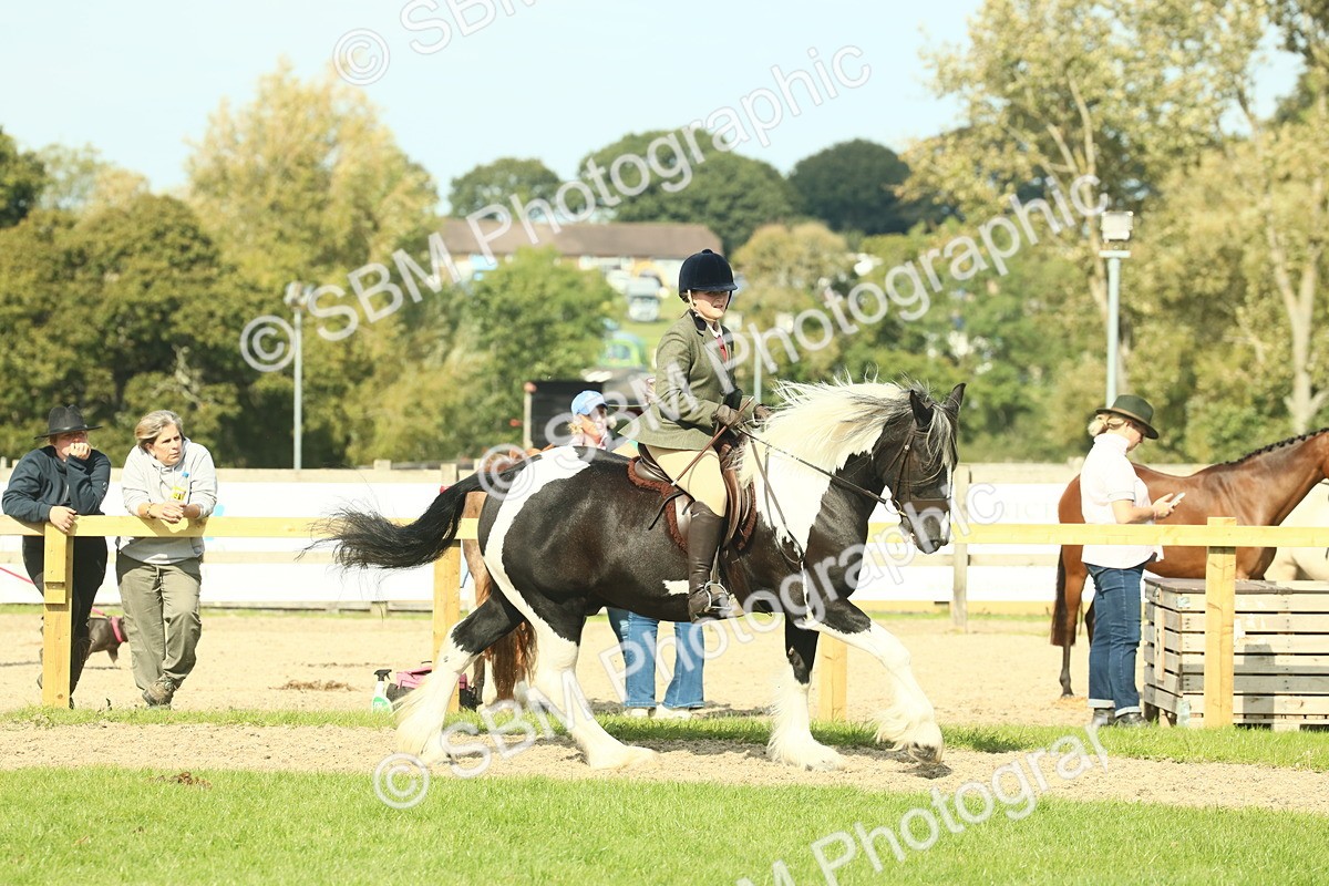 SBM_68811 - S58 - Mini Show Cob Ridden