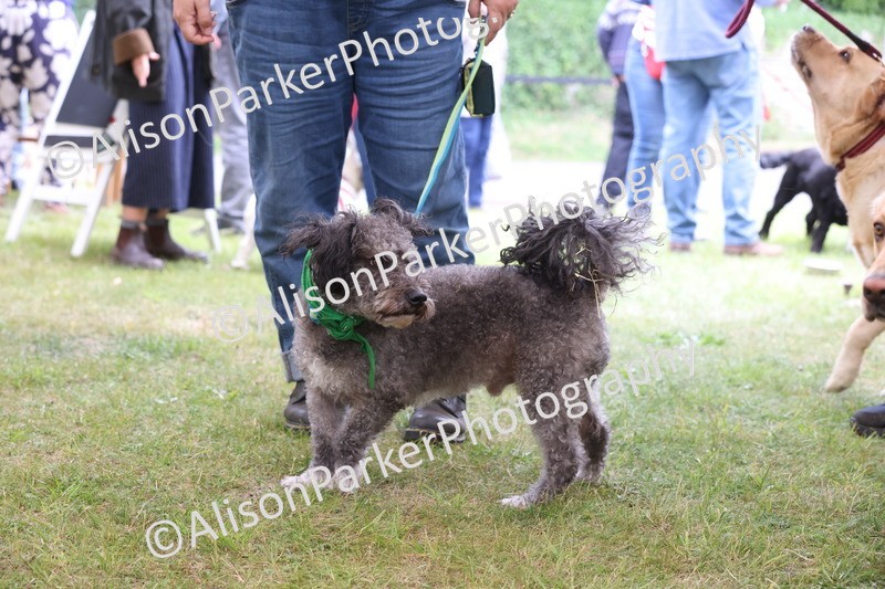 20250607-0152 - Class 3 - Fabulous Fella