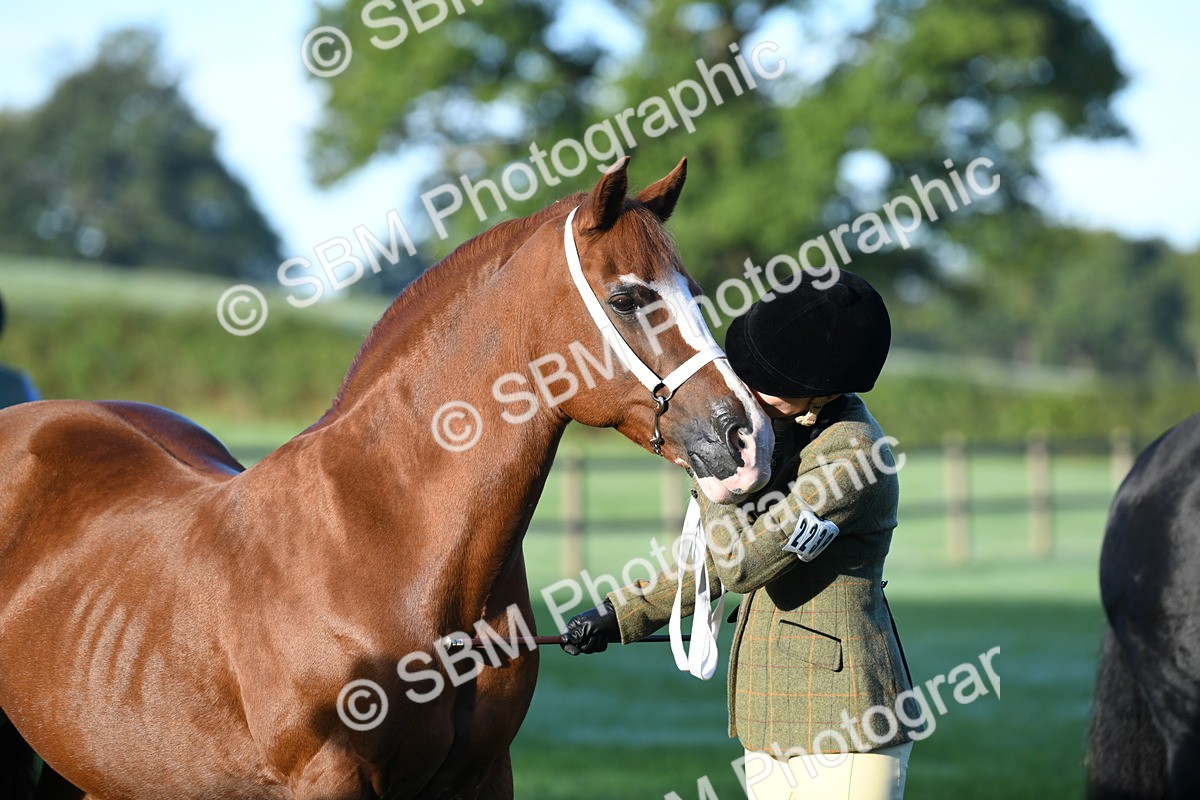SBM_32760 - S15 - Condition & Turnout In Hand