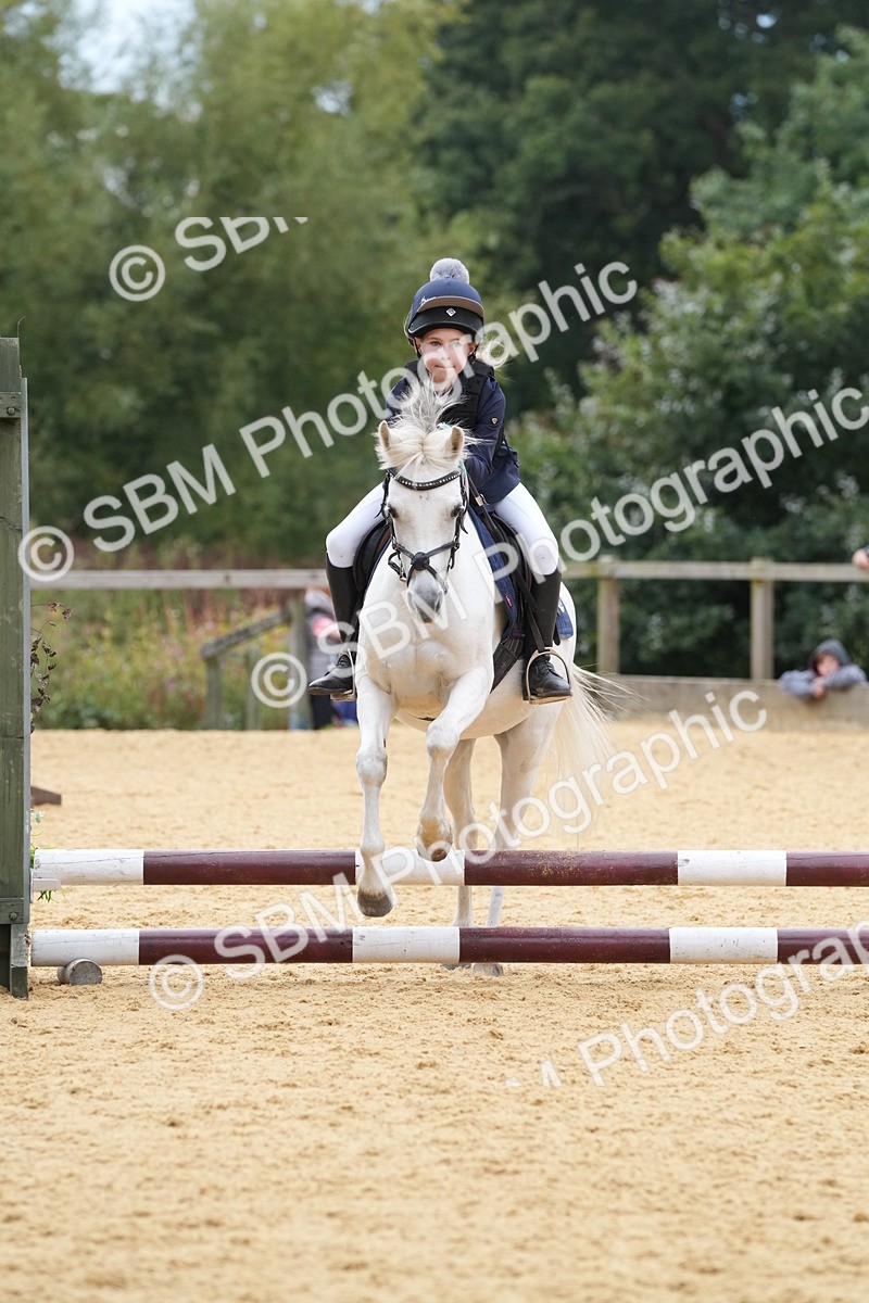 SBM_71730 - J3 - Mini Tour Junior Pony 40cm Championship